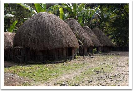 Rumah Adat Papua  Suku Toboti  S U P E R N O V A